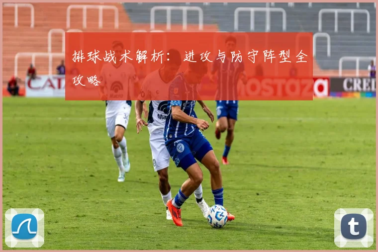 排球战术解析：进攻与防守阵型全攻略